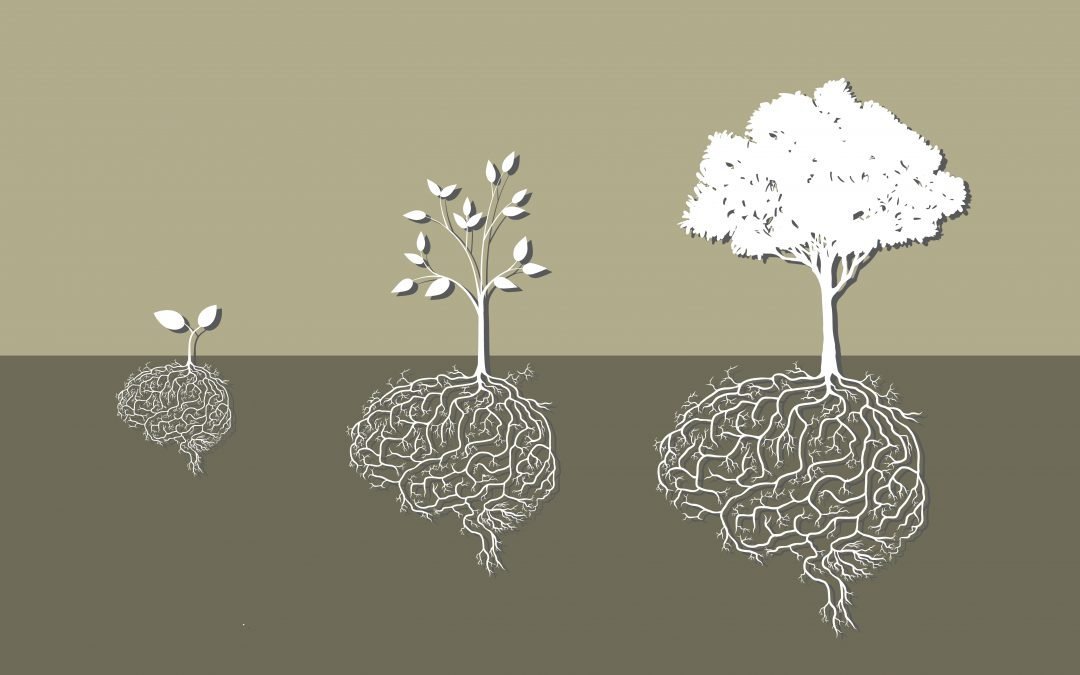 “All the World’s a Stage.” Or, four stages, by Mark Manson’s count.
