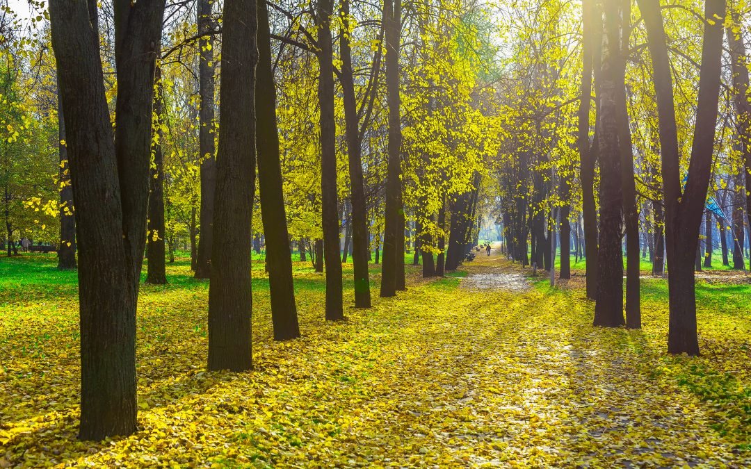 Coming Soon: A celebrity couple share their personal story of loss