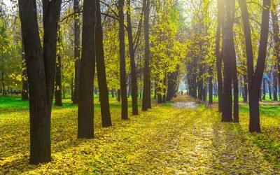 Coming Soon: A celebrity couple share their personal story of loss